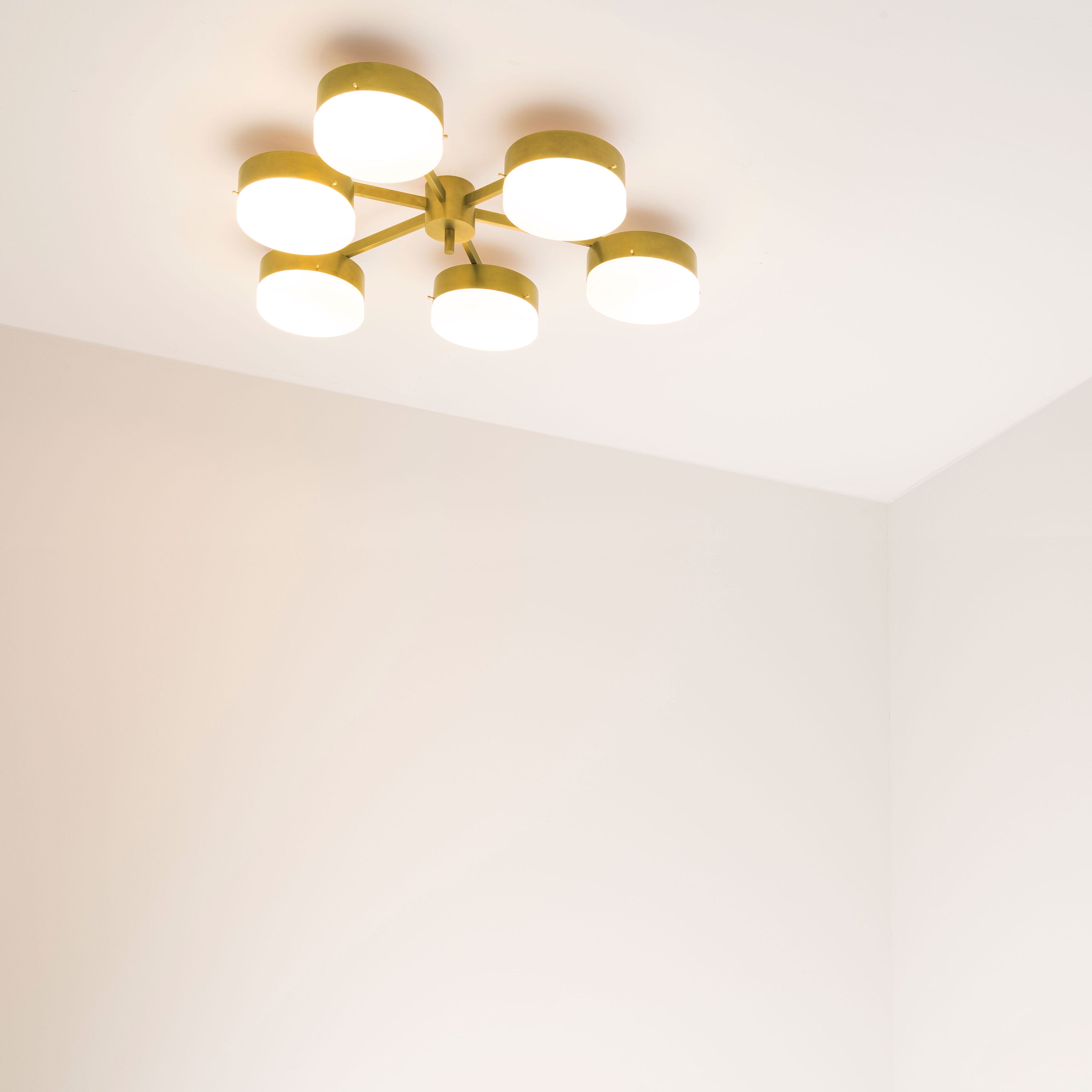 Celeste Phosphenes contains 6 bulbs, it is compatible with LED and dimmable. The maximum voltage of the bulbs must not exceed 100V.