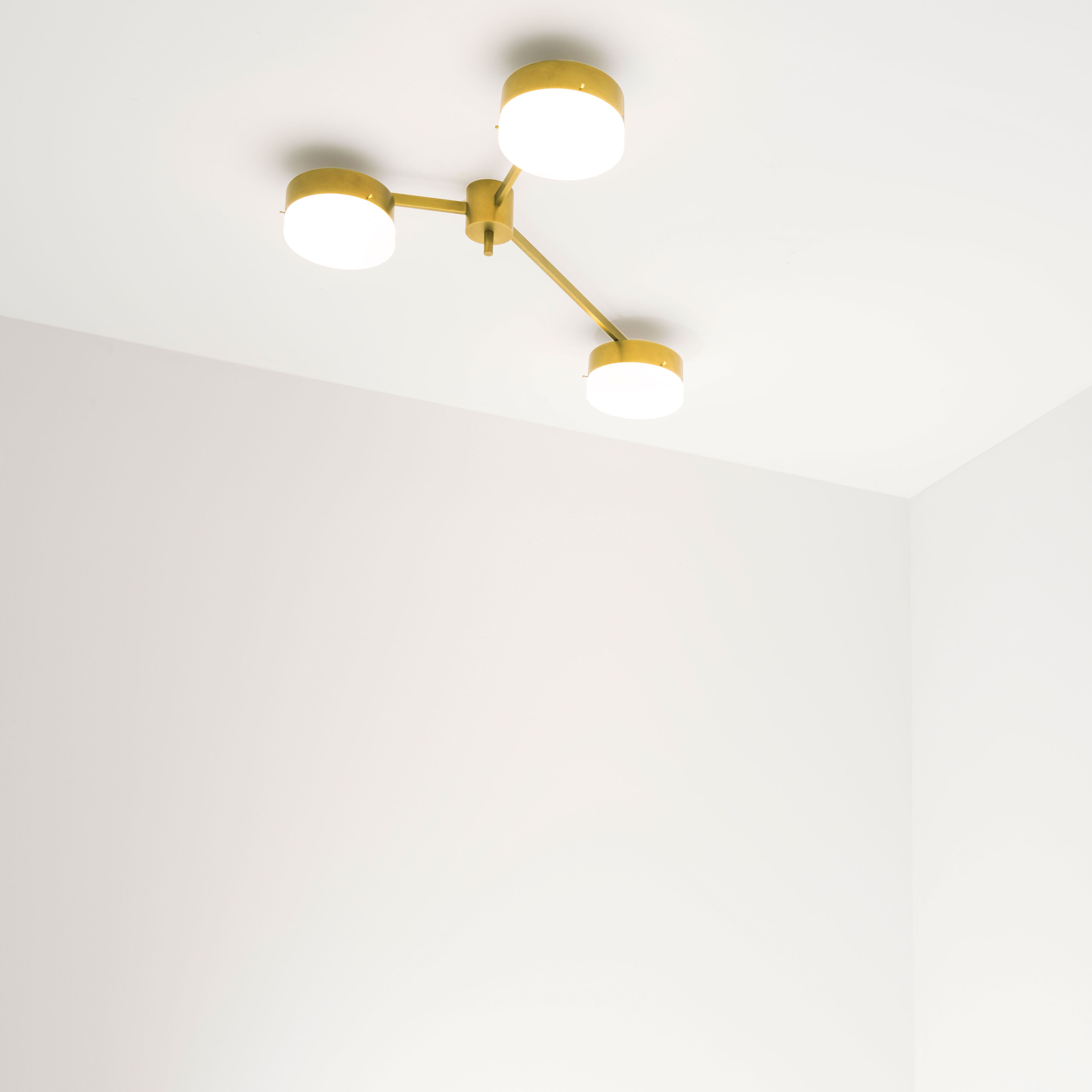 Celeste Syzygy contains 3 bulbs, it is compatible with LED and dimmable. The maximum voltage of the bulbs must not exceed 100V.