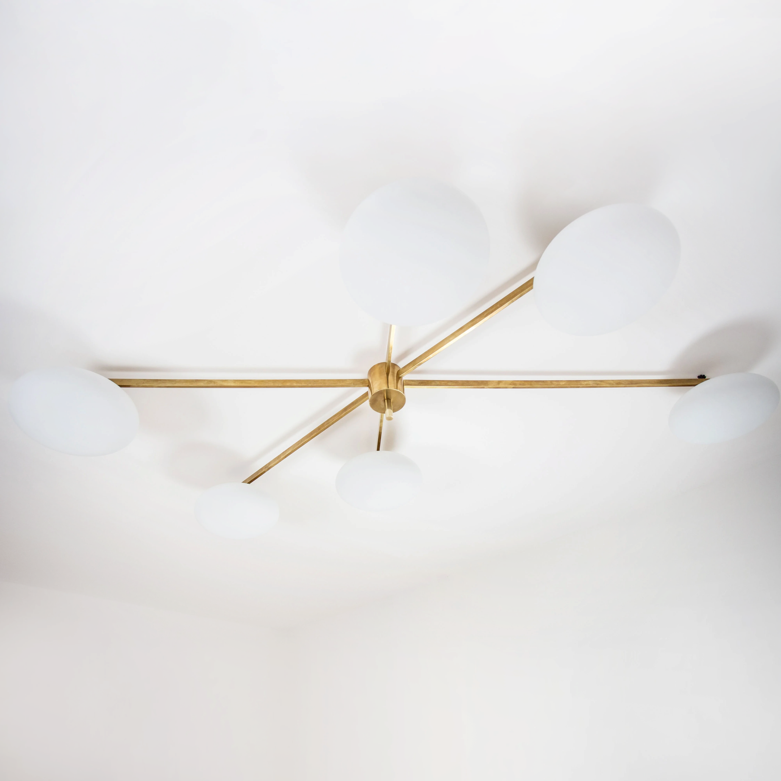 Stella Tribute — original product photograph