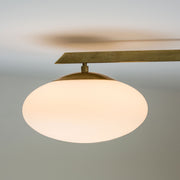 The maximum voltage of the bulb must not exceed 100V.