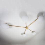 Stella Starfish contains 5 bulbs, it is compatible with LED and dimmable. The maximum voltage of the bulb must not exceed 100V.